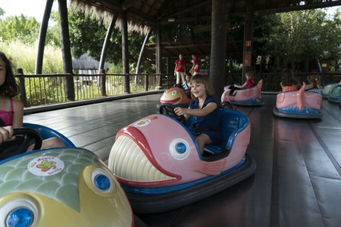 Seville: Magic Island With Optional Magic Water Park Tickets - Advance Booking Recommendations