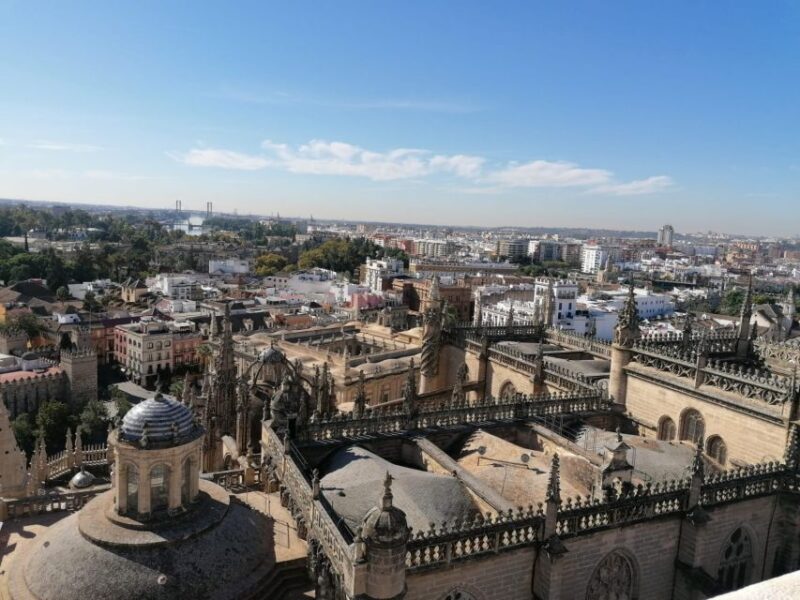 Seville: Private 2,5 - Hour Walking Tour - Participant Information