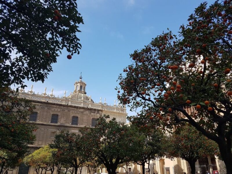 Seville: Private 2,5 - Hour Walking Tour - Exploring Historic Neighborhoods