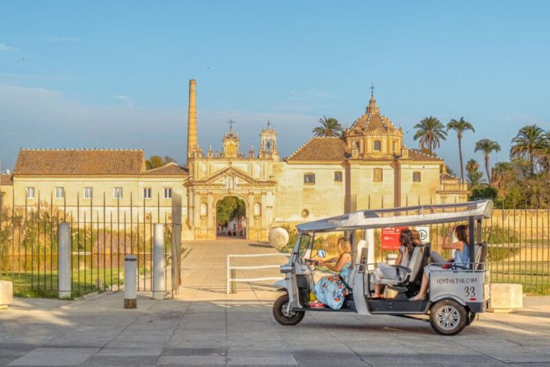 Seville: Private City Tour by Eco Tuk Tuk - Tour Experience