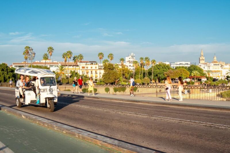 Seville: Private City Tour by Eco Tuk Tuk - Important Information and Restrictions