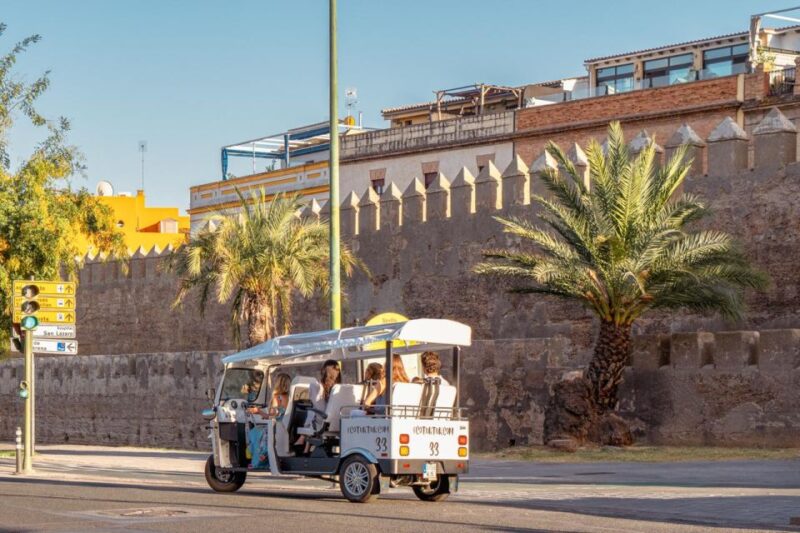 Seville: Private City Tour by Eco Tuk Tuk - Customer Reviews and Ratings