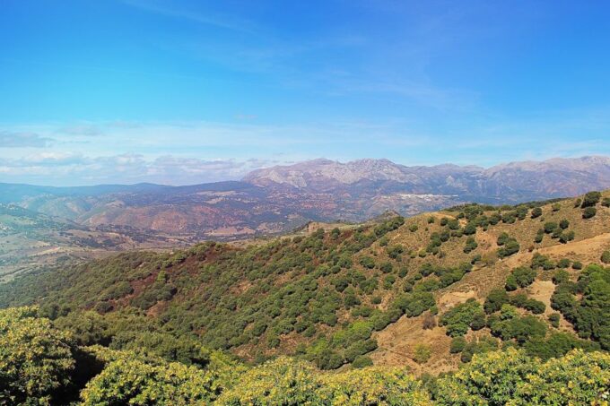 Seville: Private One-Way Transfer From Seville to Ronda - Scenic Route to Ronda