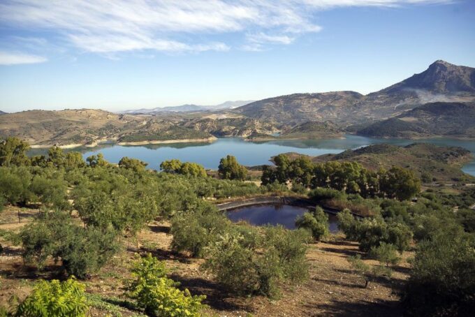 Seville: Private One-Way Transfer From Seville to Ronda - Door-to-Door Convenience