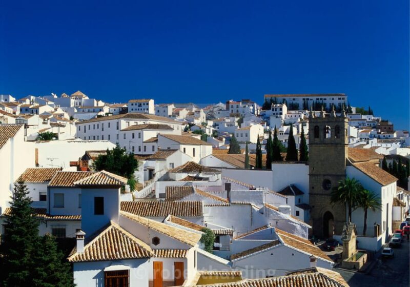Seville: Private Ronda Day Trip Optional White Villages Tour - Olive Oil Tasting and Setenil Visit