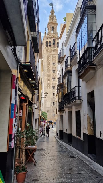 Seville Private Tour, the True Heart of Andalusia, From Faro - Customizing Your Seville Private Tour Experience