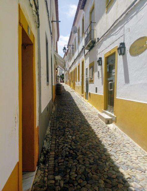 Seville: Private Transfer From Lisbon - Driver/Guide Information