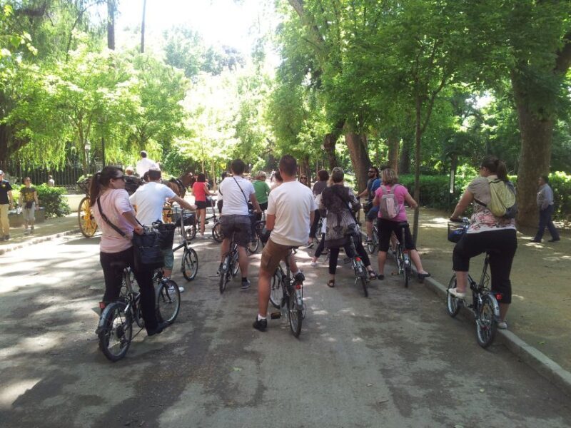 Seville: Relaxing Electric Bike tour with Tour Guide - A Detailed Look at the Experience