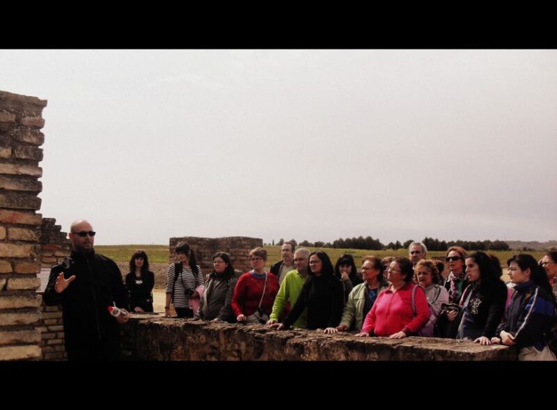 Seville: Roman City of Itálica 2 Hour Tour - Highlights of the Itálica Archaeological Complex