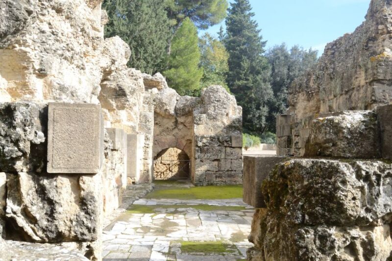 Seville: Roman City of Itálica 2 Hour Tour - Discovering Roman Architecture and Treasures