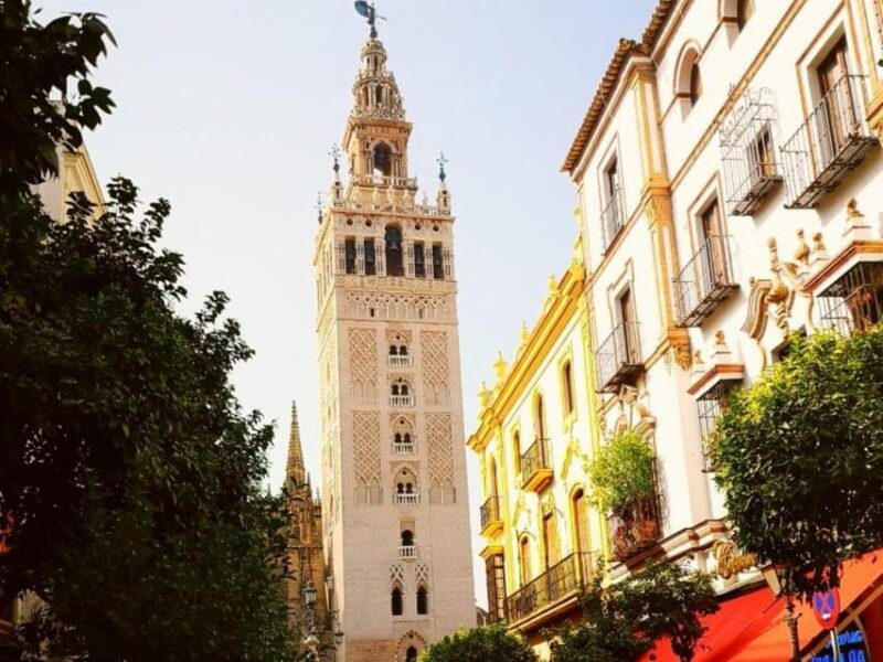 Seville: Tapas Tour With Wine and Rooftop Drinks - Tapas Bar Experiences