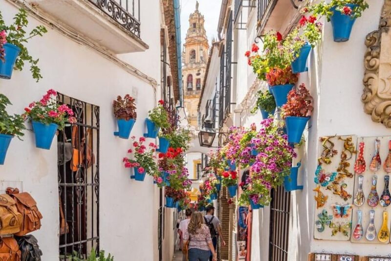 Seville: Tour to Cordoba and Mosque Cathedral - Navigating the Tour