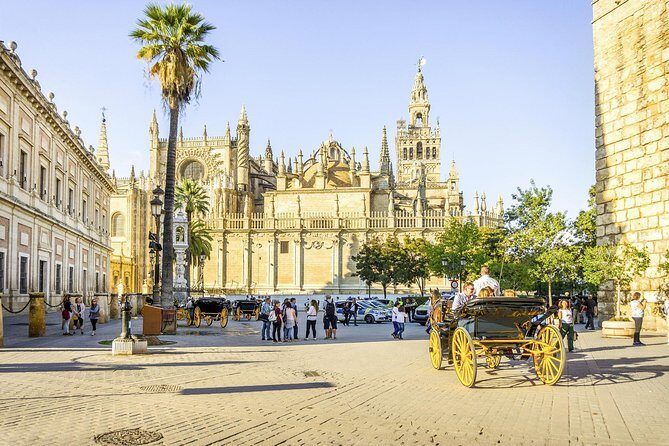 Seville Tour with Alcazar, Cathedral and Giralda from Granada - A Deep Dive into the Experience 
