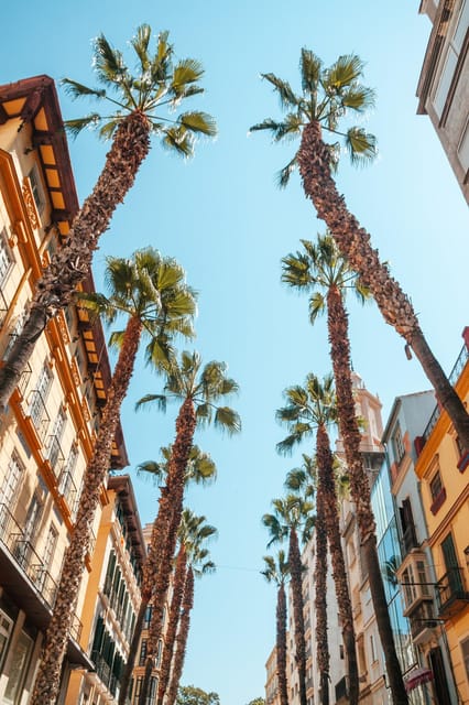 Seville: Transfer to Málaga With Visit to Ronda - Pickup and Drop-off Locations
