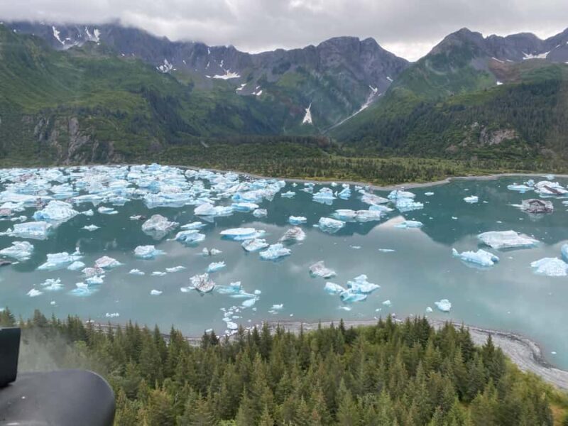 Seward: Bear Glacier Signature Helicopter Tour - An In-Depth Look at the Seward Helicopter Tour