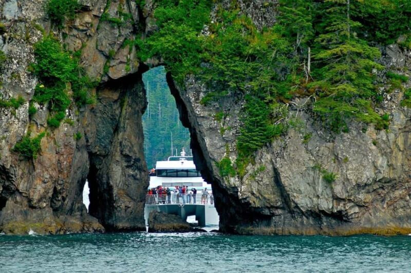 Seward: Captain's Choice Kenai Fjords National Park Tour - What Makes This Tour Special?