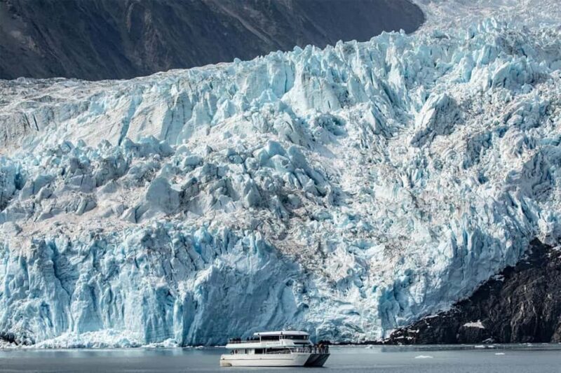 Seward: Captain's Choice Kenai Fjords National Park Tour - The Value of a Guided Wildlife and Glacier Tour