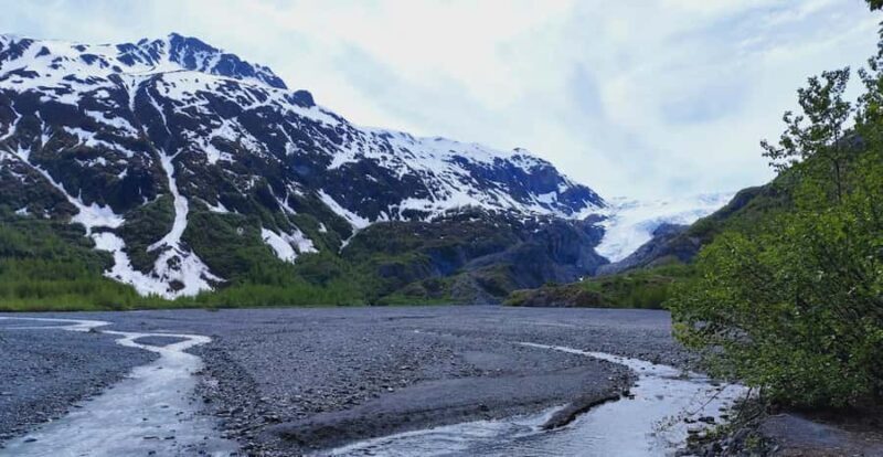 Seward: Exit Glacier Nature Hike with Scenic Views - Key Points