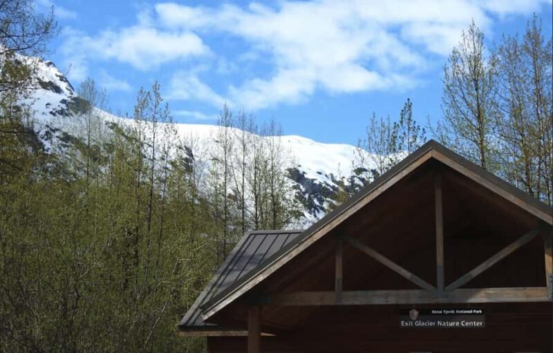 Seward: Exit Glacier Nature Hike with Scenic Views - The Guide’s Role: Knowledge, Safety, and Flexibility