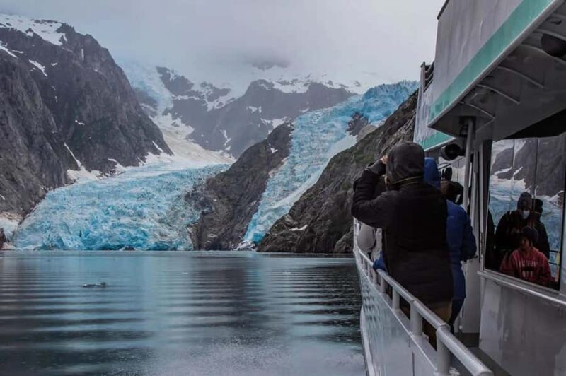 Seward: Full-Day Northwestern Fjord Glacier & Wildlife Tour - The Sum Up: Who Will Love This Tour?