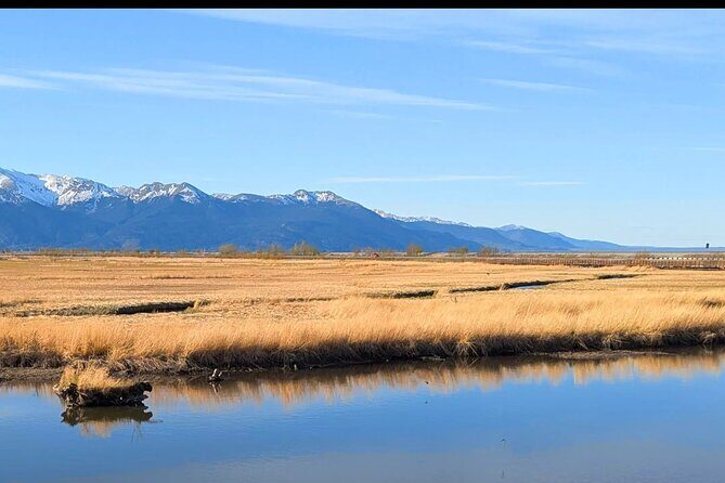 Seward Highway: A Self Guided Drive of Alaska's Historic Road - Who This Tour Is Best For