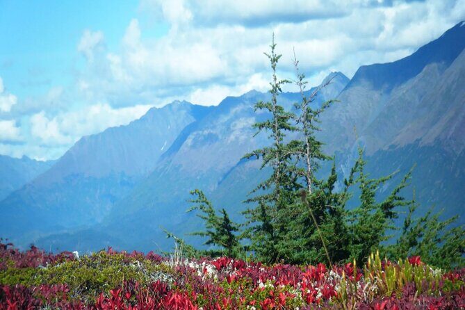 Seward Highway: A Self Guided Drive of Alaska's Historic Road - FAQ