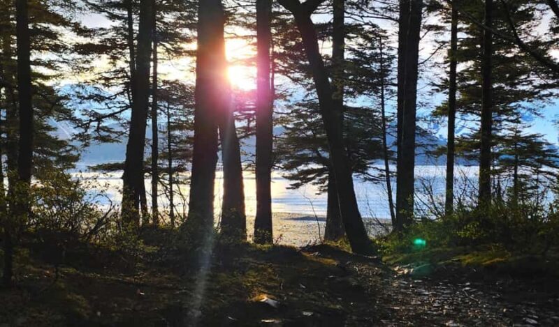 Seward: Kayak to Bridal Veil Falls with Lunch - FAQ