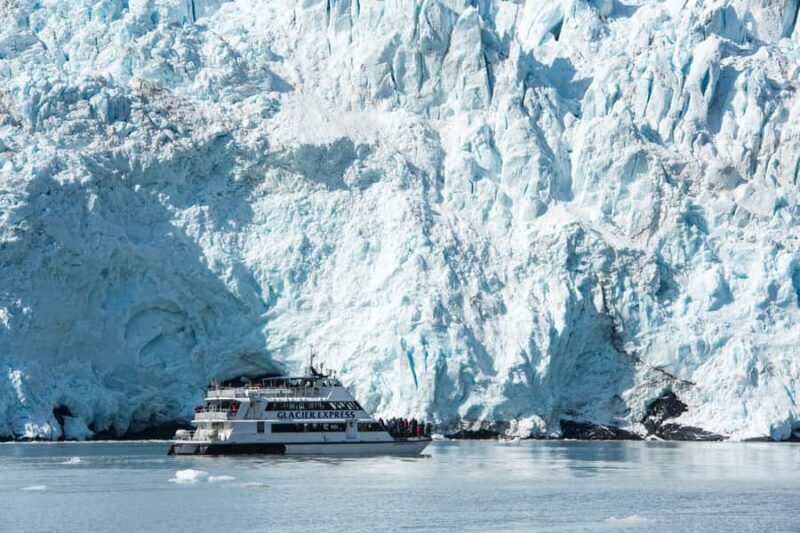 Seward: Kenai Fjords National Park Extended Glacier Cruise - The Sum Up