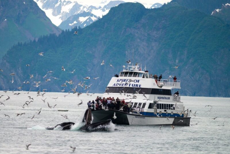 Seward: Kenai Fjords National Park Extended Glacier Cruise - FAQ