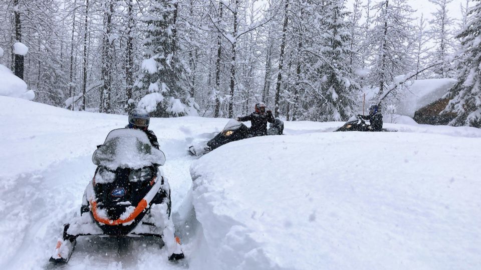 Seward: Kenai Fjords National Park Guided Snowmobiling Tour - Important Information