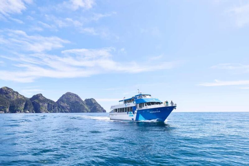 Seward: Resurrection Bay Half-Day Sightseeing Cruise - Final Words