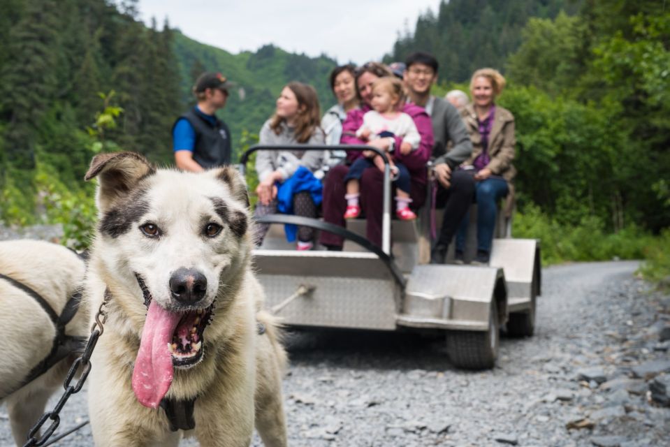 Seward: Summer Dog Sled Ride and Seavey Estate Tour - Key Points