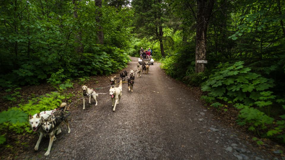 Seward: Summer Dog Sled Ride and Seavey Estate Tour - Exploring the Seavey Kennel