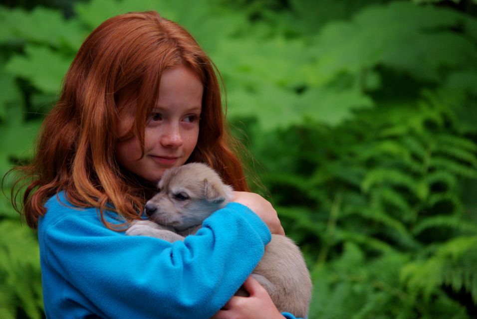 Seward: Summer Dog Sled Ride and Seavey Estate Tour - Seavey Family Heritage