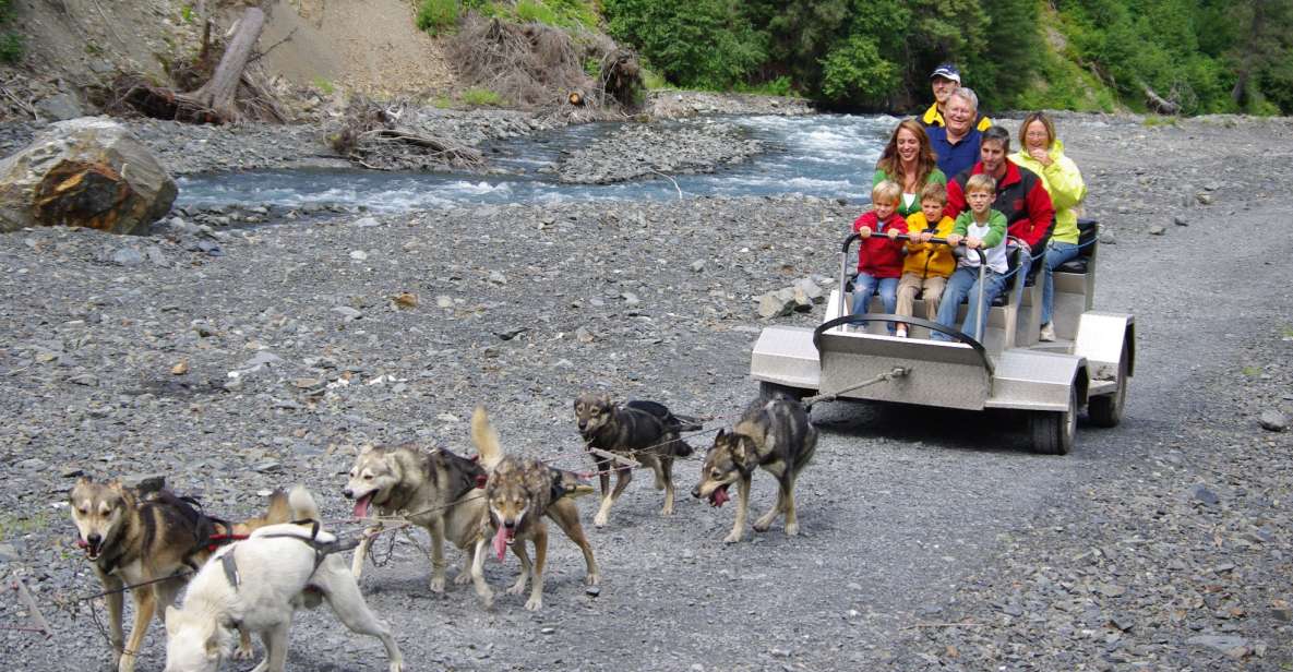 Seward: Summer Dog Sled Ride and Seavey Estate Tour - Scenic Rainforest Dogsled Ride