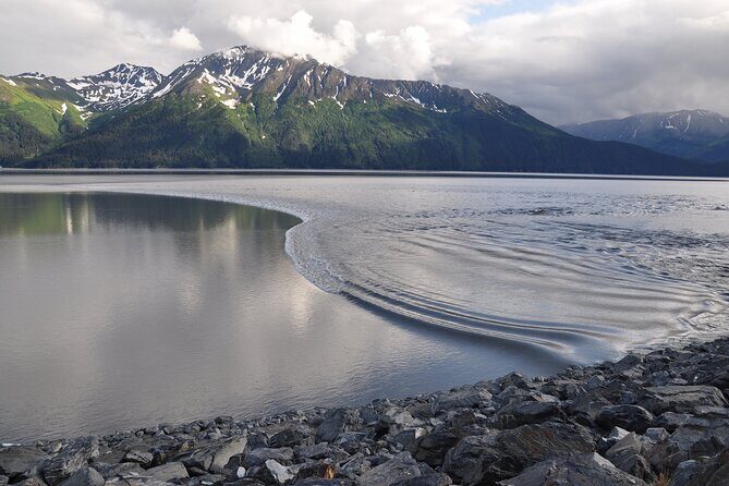 Seward to Anchorage Direct Transfer Tour - An Inside Look at the Seward to Anchorage Transfer Experience