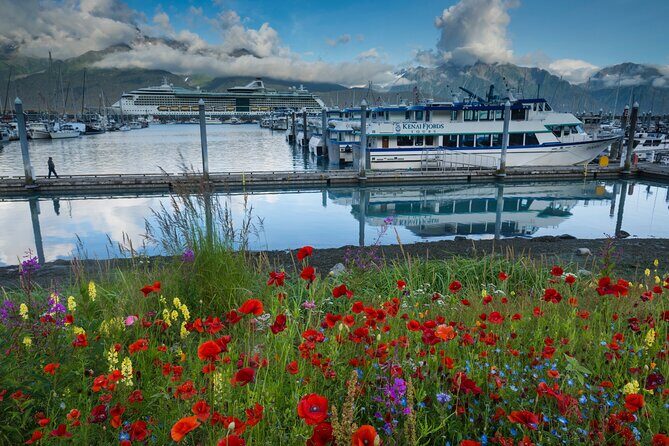 Seward to Anchorage Scenic Transfer Photo Tour - What Makes This Tour Stand Out?