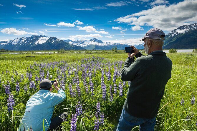 Seward to Anchorage Scenic Transfer Photo Tour - Who Should Book This Tour?