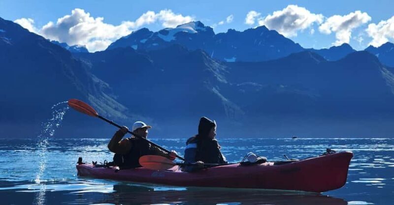 Seward: Tonsina Point Kayak & Exit Glacier Nature Hike - Key Points