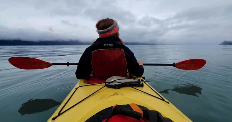 Seward: Tonsina Point Kayak & Exit Glacier Nature Hike - Who This Tour Is Best For