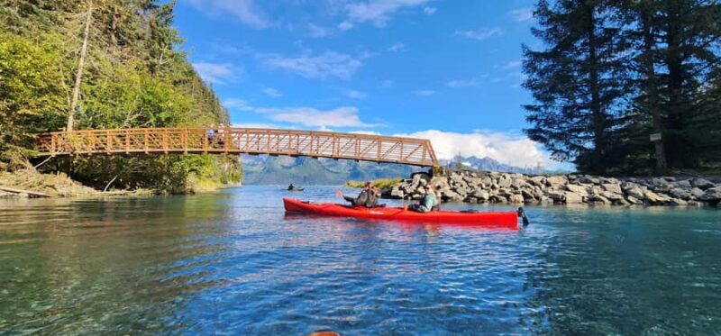 Seward: Tonsina Point Sea Kayaking Trip with Hotel Pickup - Introduction: Authentic Alaskan Nature on the Water