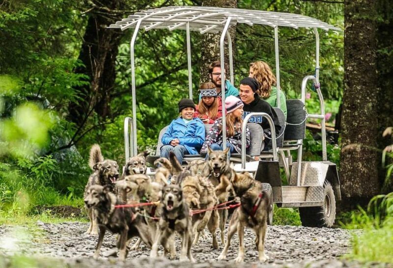 Seward: Turning Heads Kennel Tour & Dog Sled Ride - Key Points