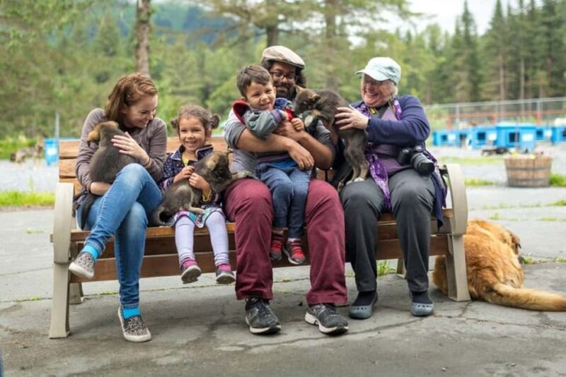 Seward: Turning Heads Kennel Tour & Dog Sled Ride - Who Will Love This Experience?