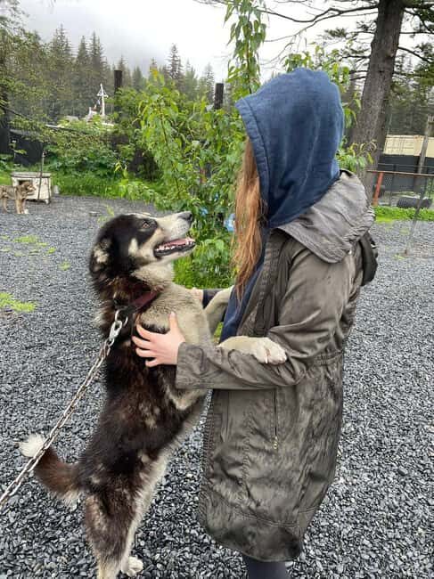 Seward: Turning Heads Kennel Tour & Dog Sled Ride - Final Thoughts: Is It Worth Your Time?