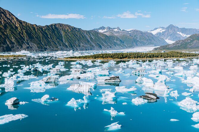 Seward Wildlife Explorer 60 minute Heli Flightseeing - Introduction