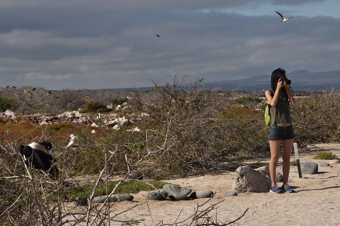 Seymour North Island & Las Bachas Full-Day Tour - Pickup and Meeting Details