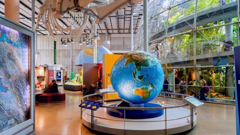 SF: CA Academy of Sciences & Hop-on Hop-off Tour (Save 15%) - Who This Tour Is Perfect For