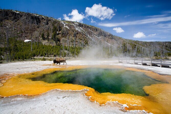 SF to Yellowstone,Grand Teton,Antelope Canyon&Vegas 7-Day Tour - FAQ