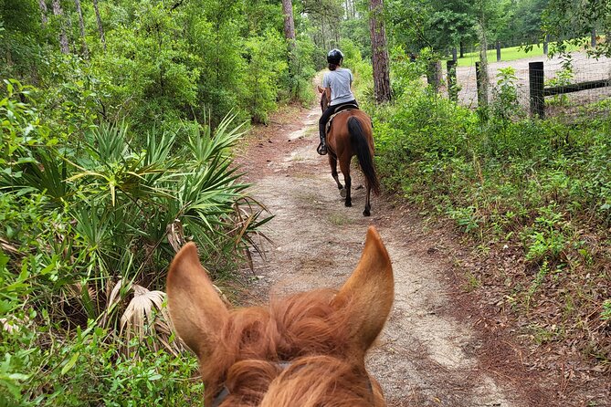Shaded Trails Horse Ride - Tour Overview
