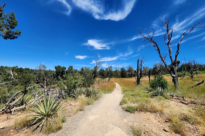 Shaka Guide: Mesa Verde National Park Audio Tour Guide - The Sum Up
